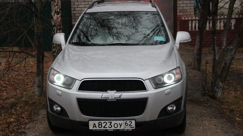 Каптива ангельские глазки