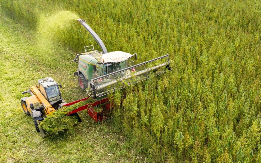 Коноплеуборочный комбайн