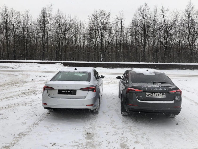 Шкода рапид и октавия