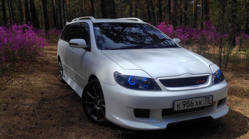 Тойота королла филдер 121