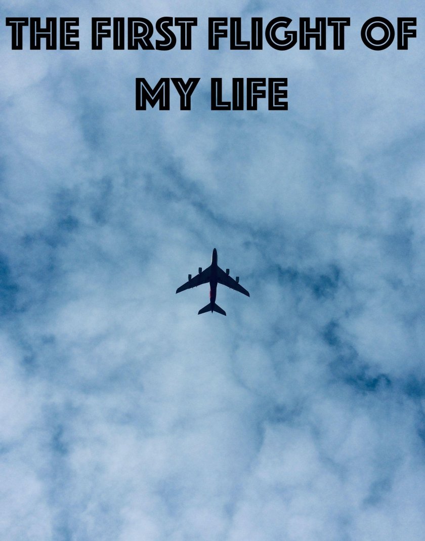 Самолет в небе