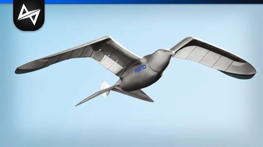 Беспилотник-чайка smartbird