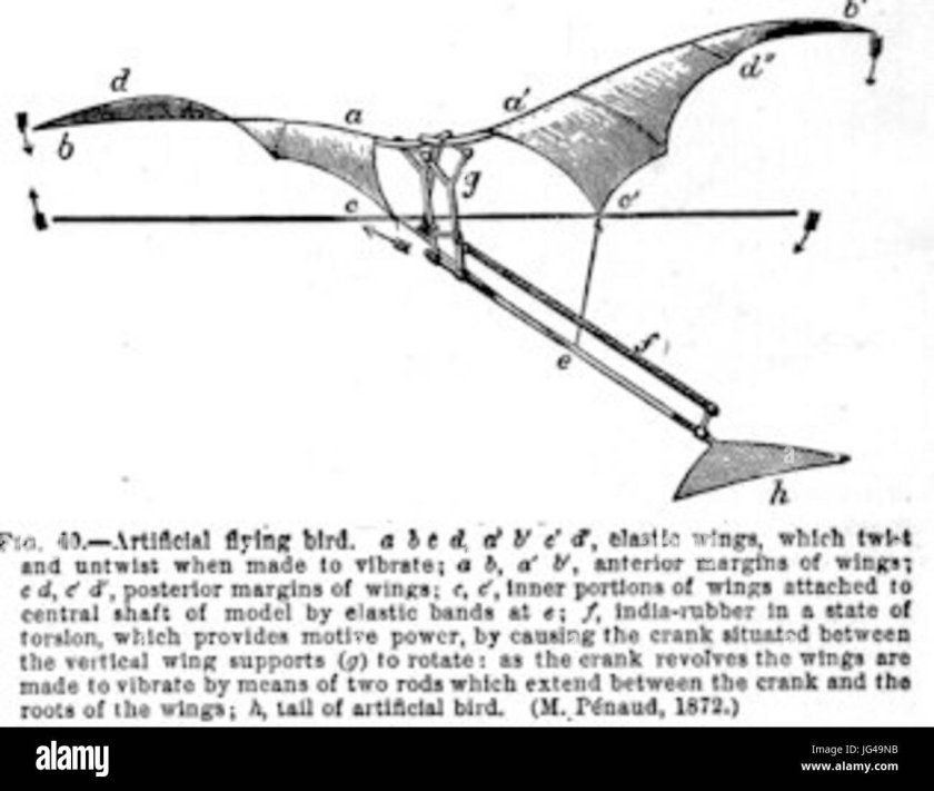 Орнитоптер Леонардо да Винчи