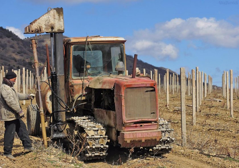 ДТ 75 виноградник