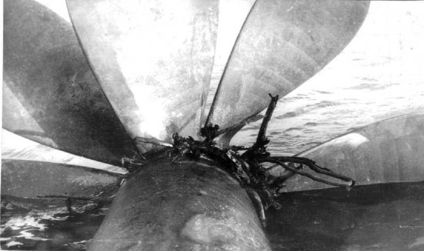 Подводная лодка к-324 проекта 671ртм