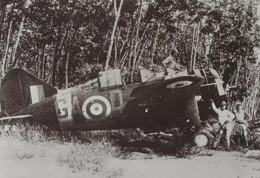 Брюстер Буффало самолет