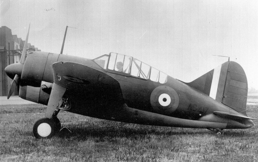 Brewster Buffalo b339