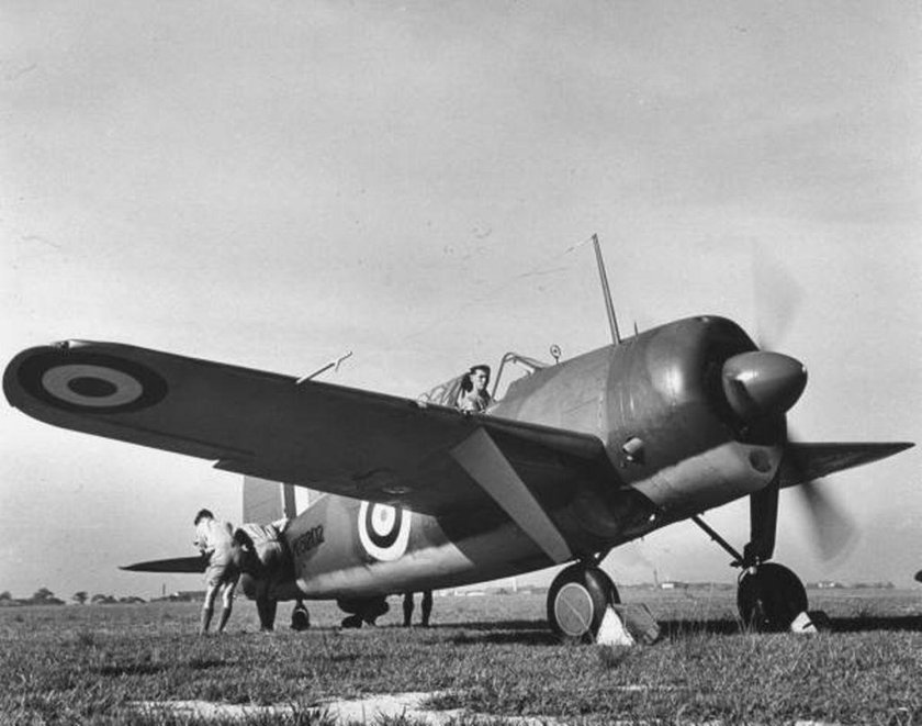 Brewster Buffalo b339