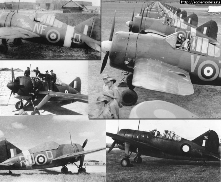 Брюстер Буффало