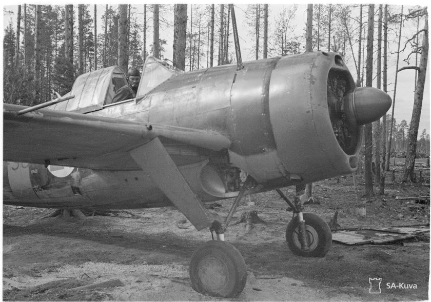 Brewster b-239 Buffalo