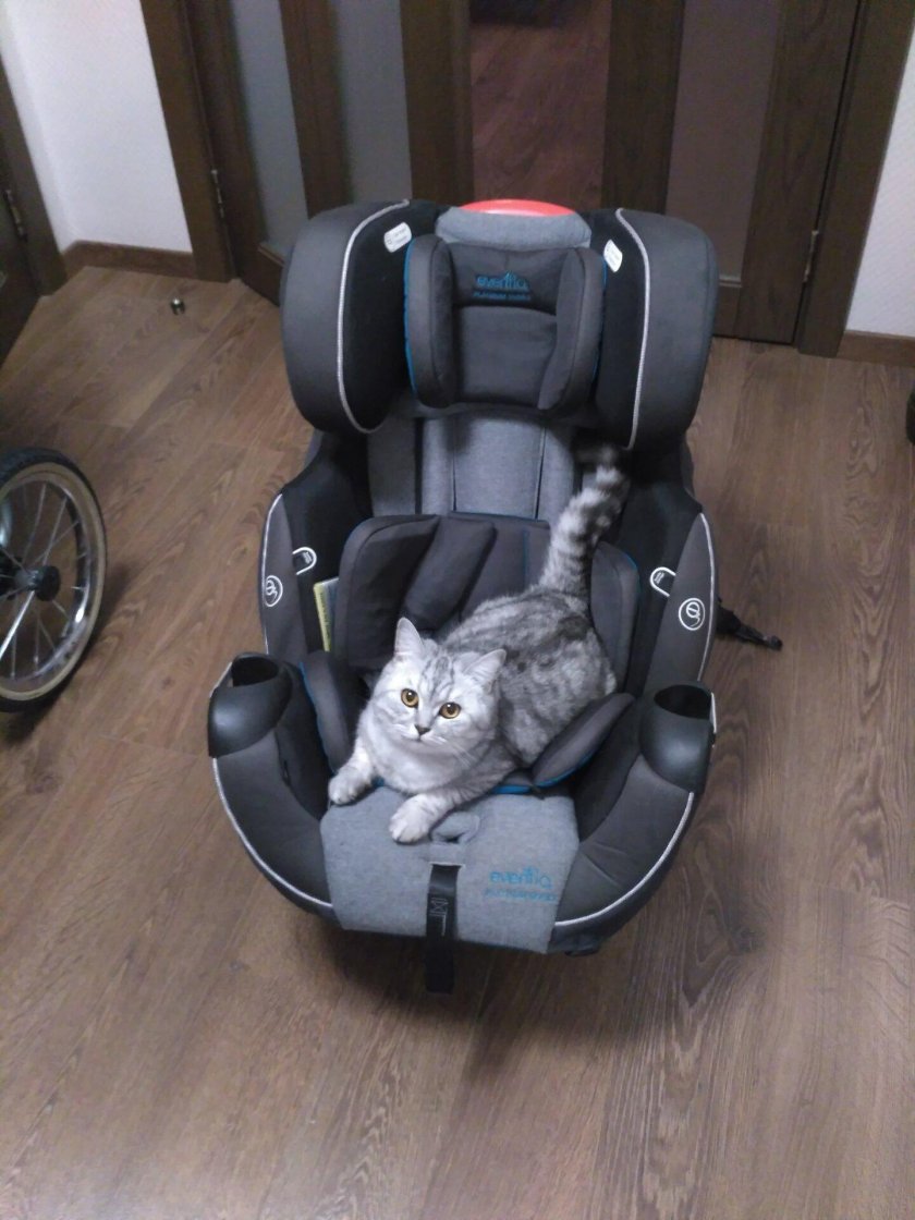 Evenflo Symphony e3 DLX