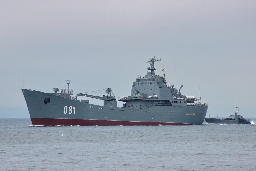 БДК 1171 тапир