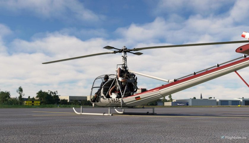 Microsoft flight sim