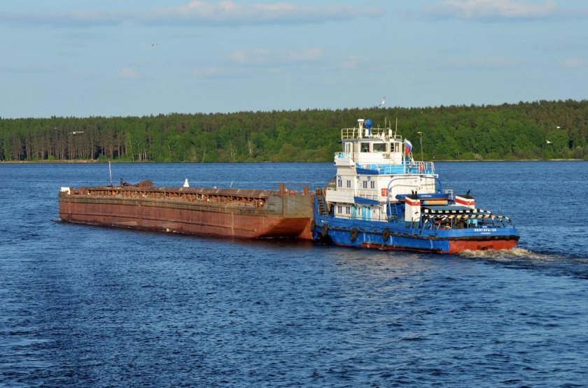 Толкач Волгарь