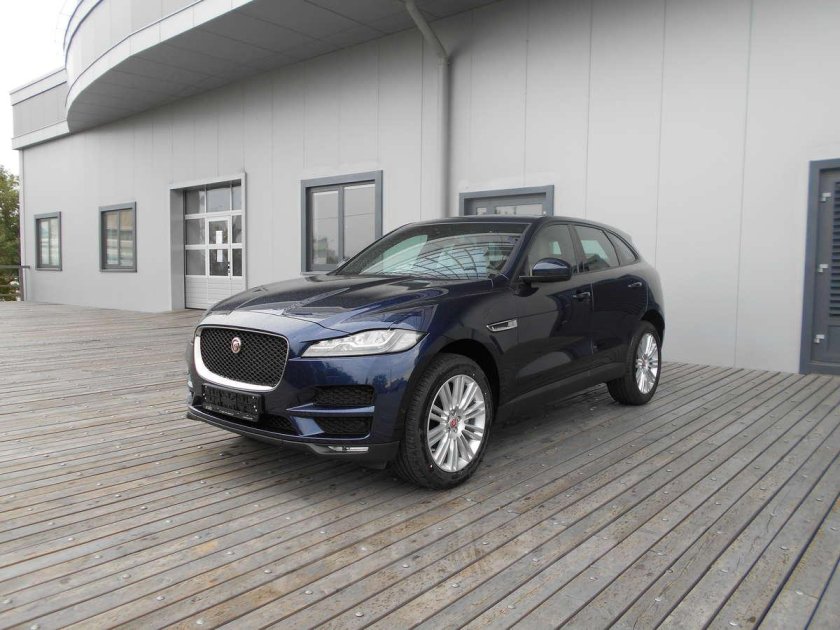 Микро Пэйс серые