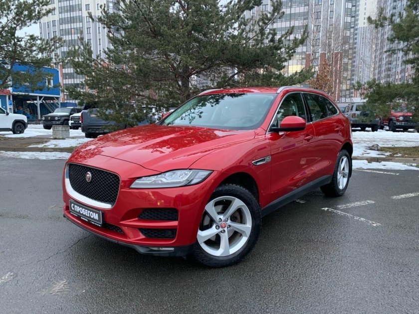 Красный ягуар