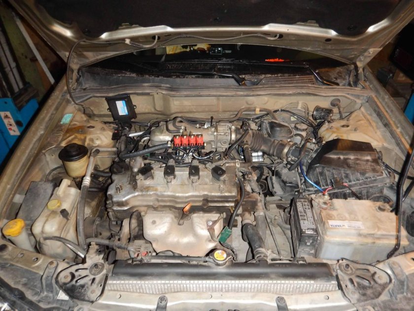 Ниссан Альмера n16 впрыск ГБО