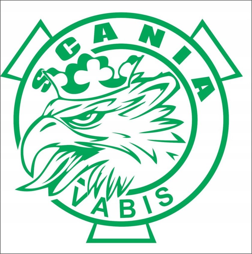 Наклейки Скания