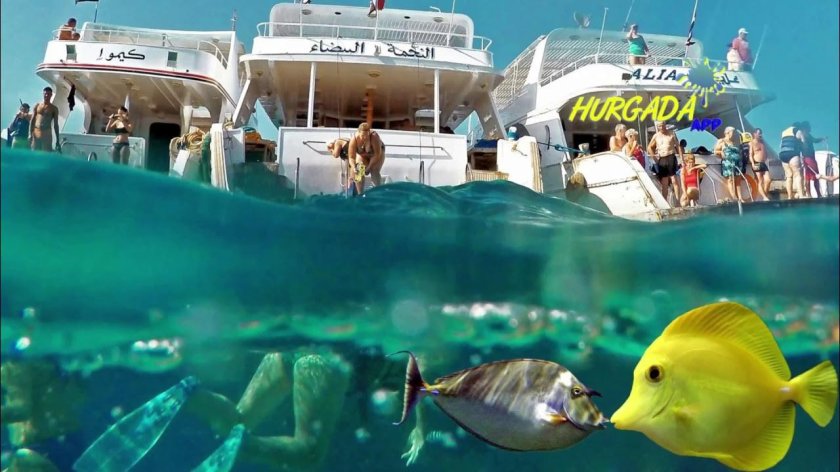 Батискаф Шарм-Эль-Шейх экскурсия