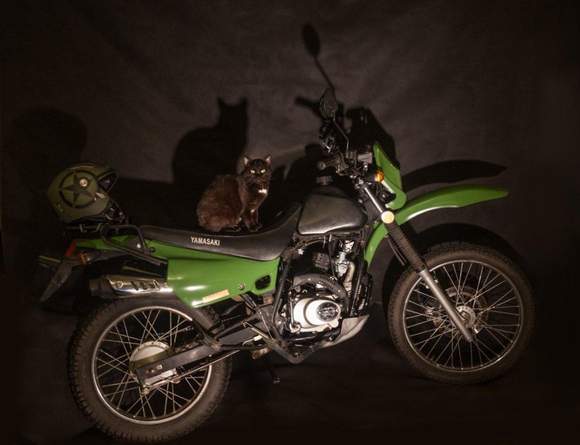 Ямасаки ФМХ 50