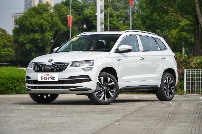 Skoda karoq i