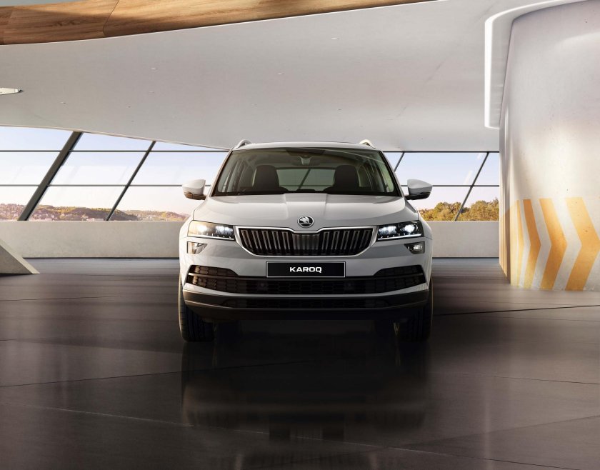 Skoda kodiaq и karoq