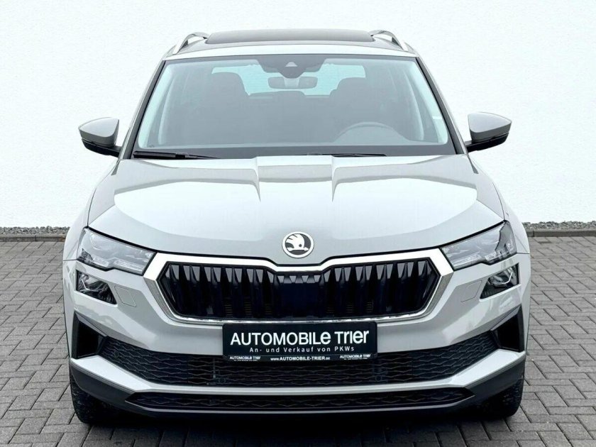 Шкода карок