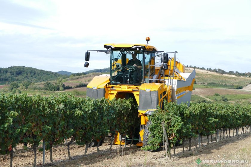 Грегуар виноградоуборочный комбайн