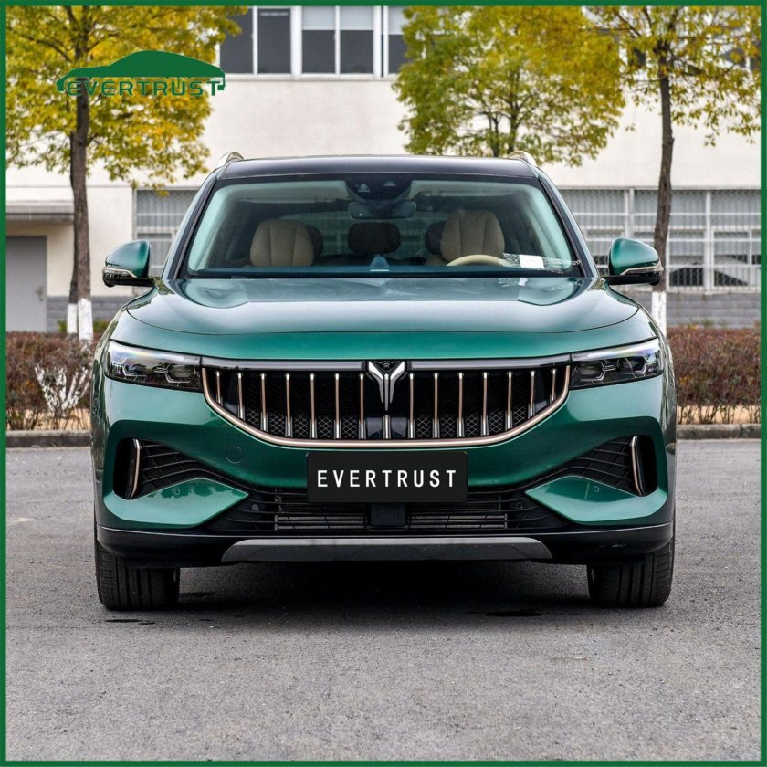 Китайский электромобиль voyah free