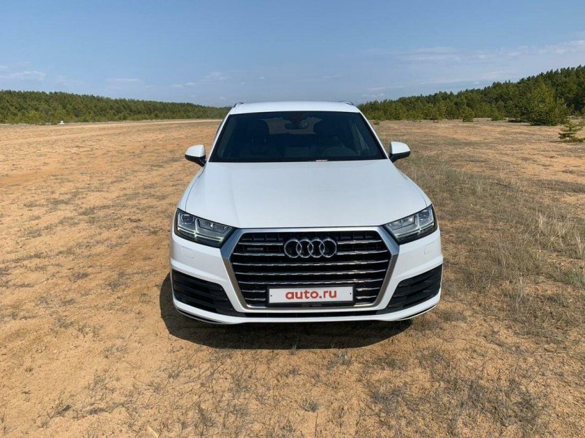 Q7 Лонг