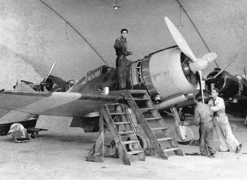 Итальянские истребители 19 века