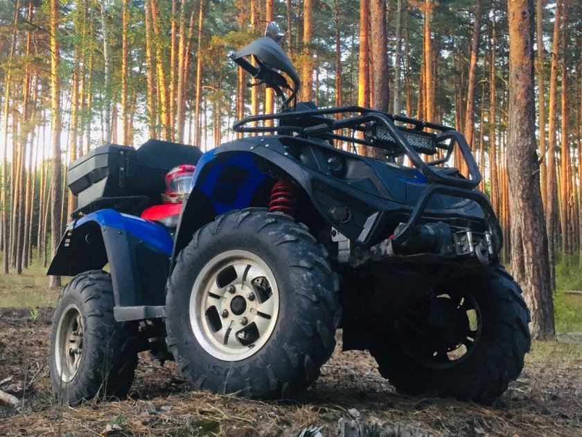 Linhai Yamaha Polar Fox