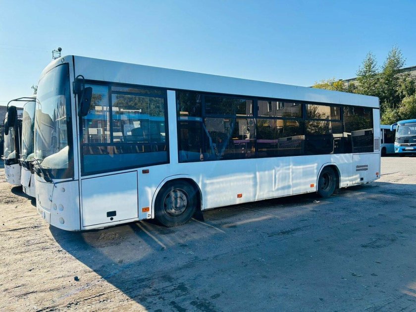 Новые автобусы маз