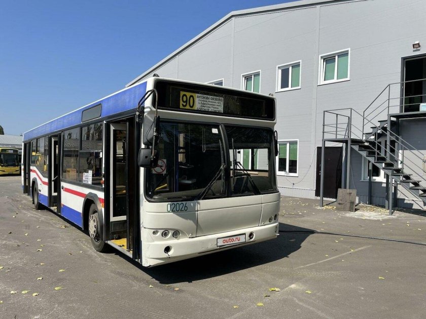 Городские автобусы