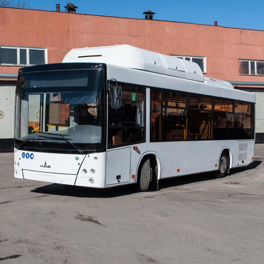 Автобус МАЗ межгород