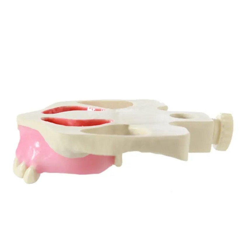 Тренажер для челюстей