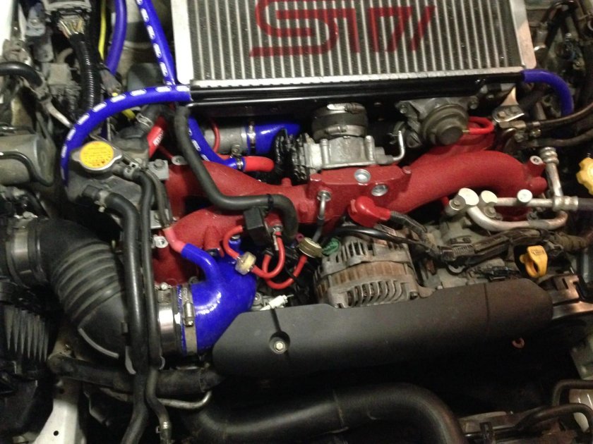 Самка Субару Импреза