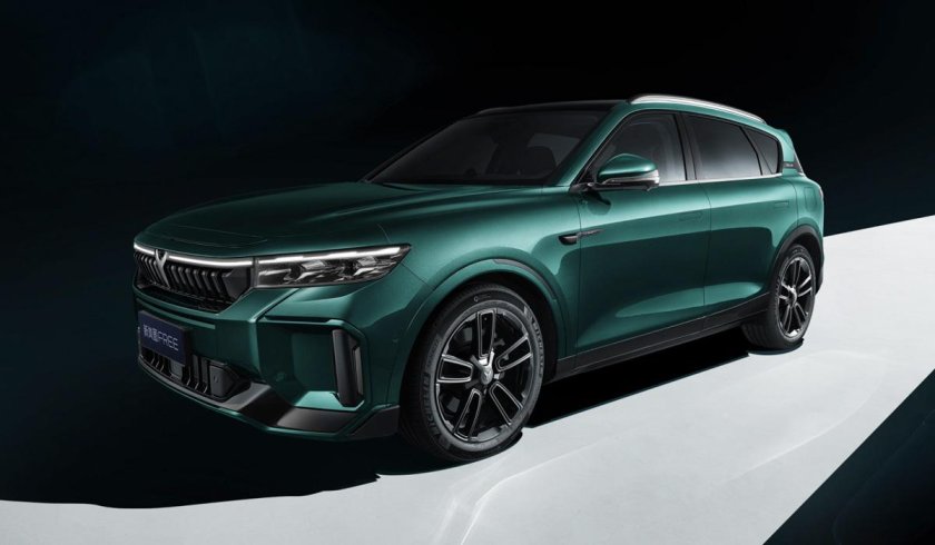 Воя фри Рестайлинг 2023