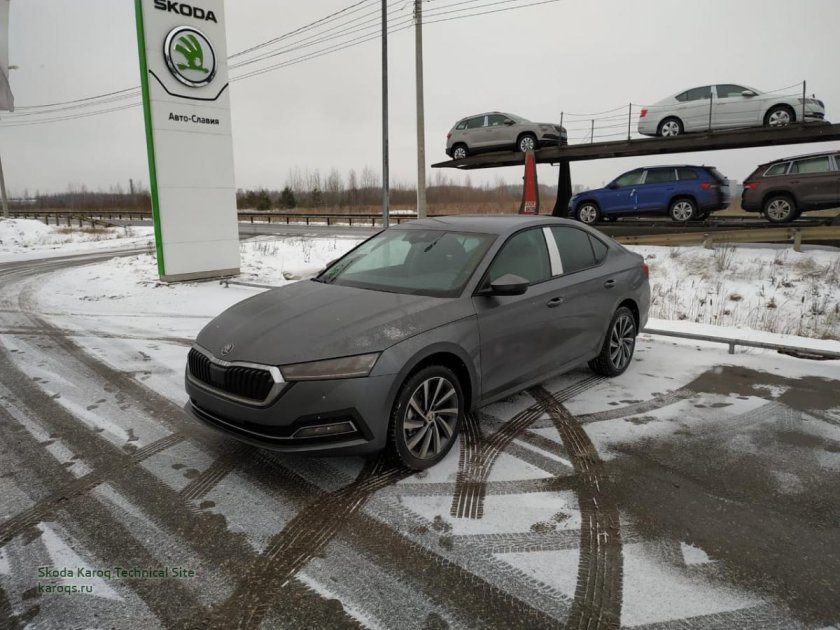 Skoda Octavia a8 серая