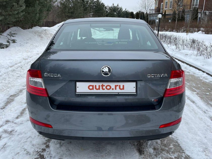 Серая шкода октавия