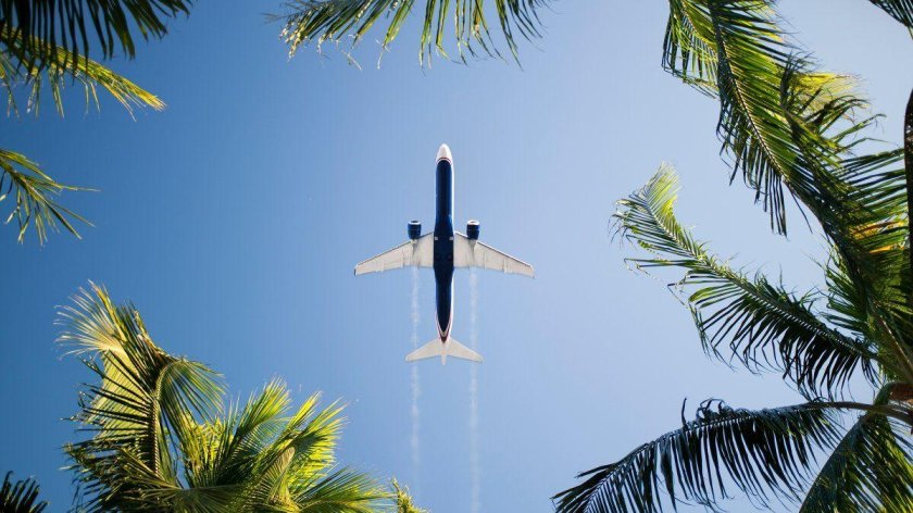 Самолет пальмы