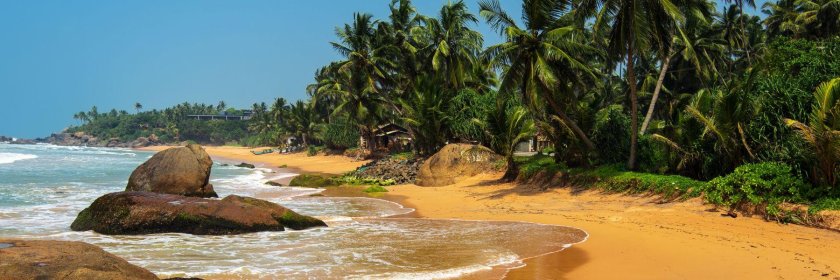 Хиккадува шри ланка