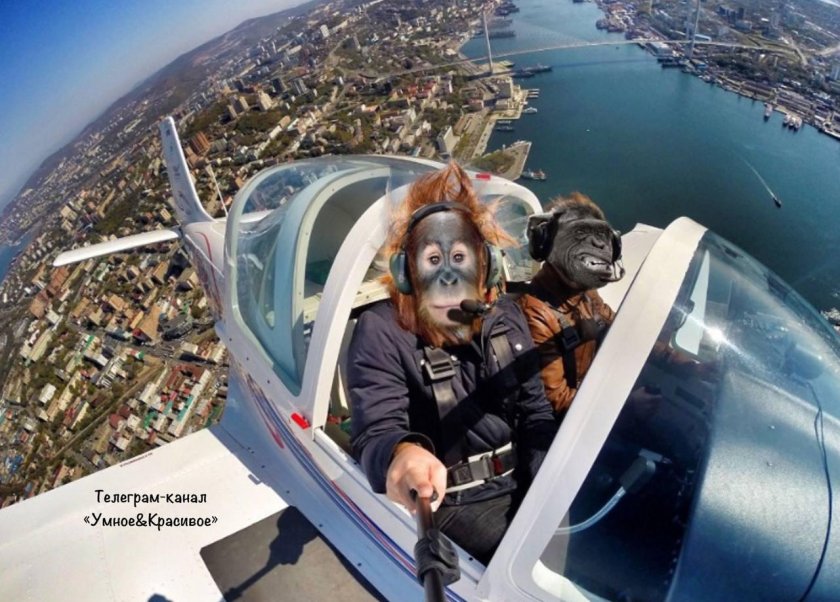 Селфи в вертолете