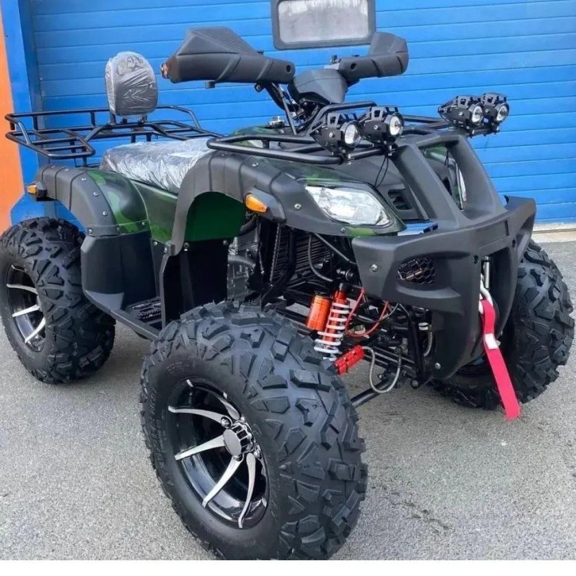 Квадроцикл Гризли 300