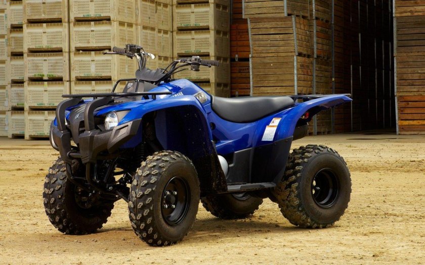 Квадроцикл Гризли 300