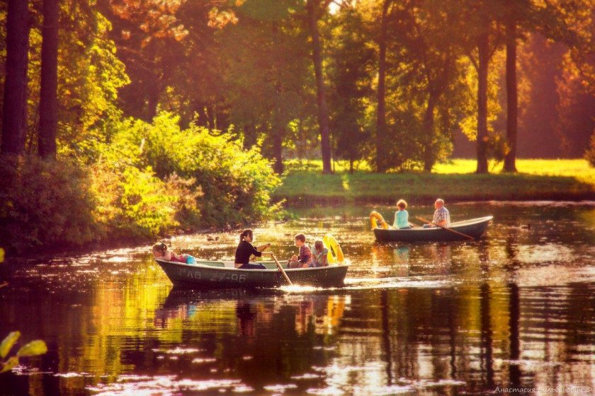 Павловск парк лодки