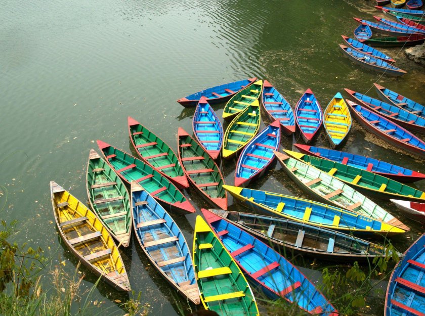 Много лодок