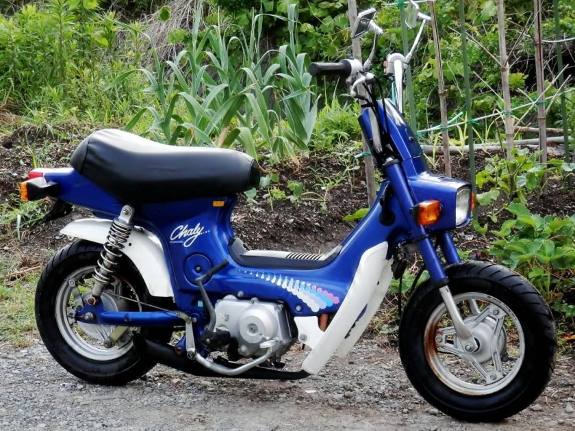 Honda CHALY cf50