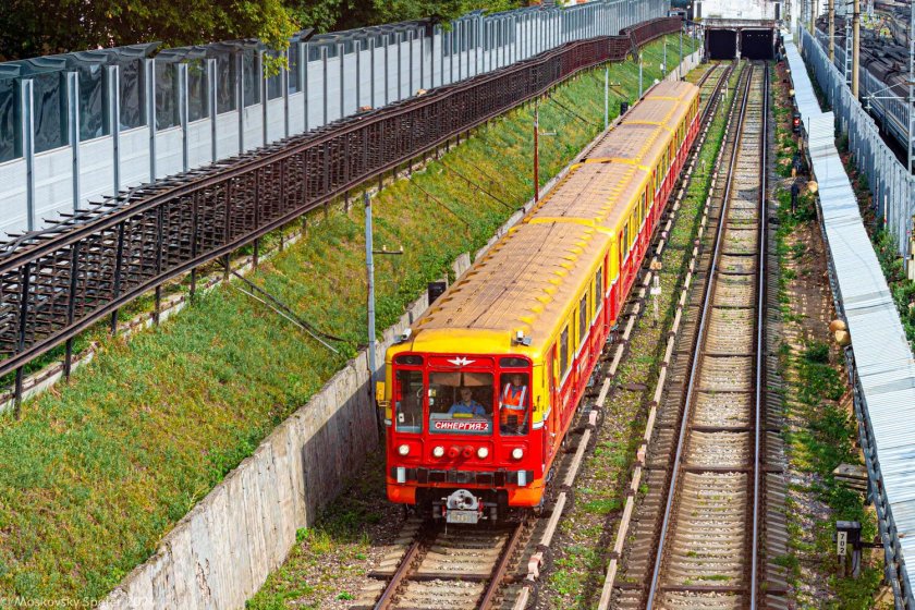 81-717 синергия