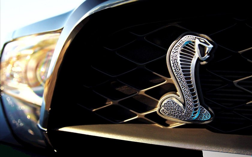 Марка Форд Мустанг Шелби